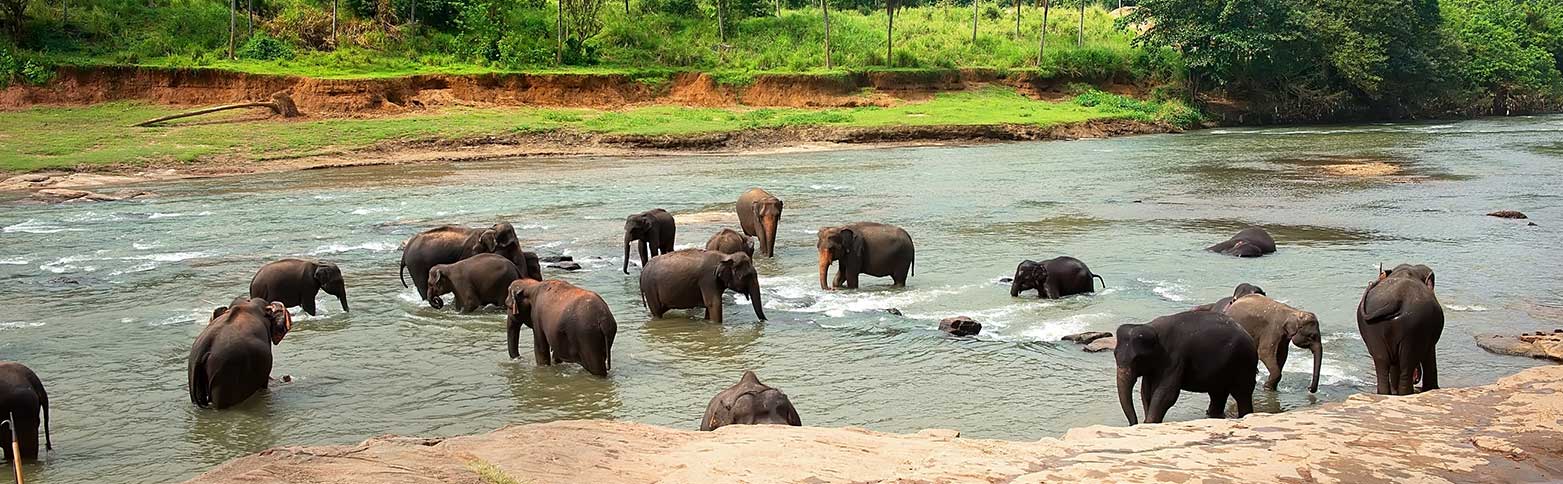 seguro de viaje a Sri Lanka