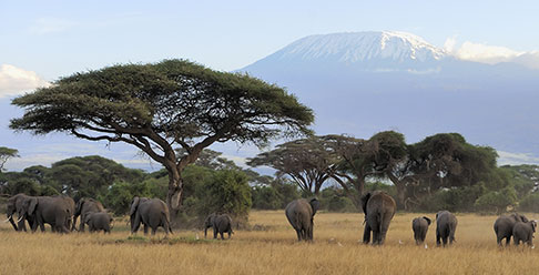 seguro de viaje tanzania