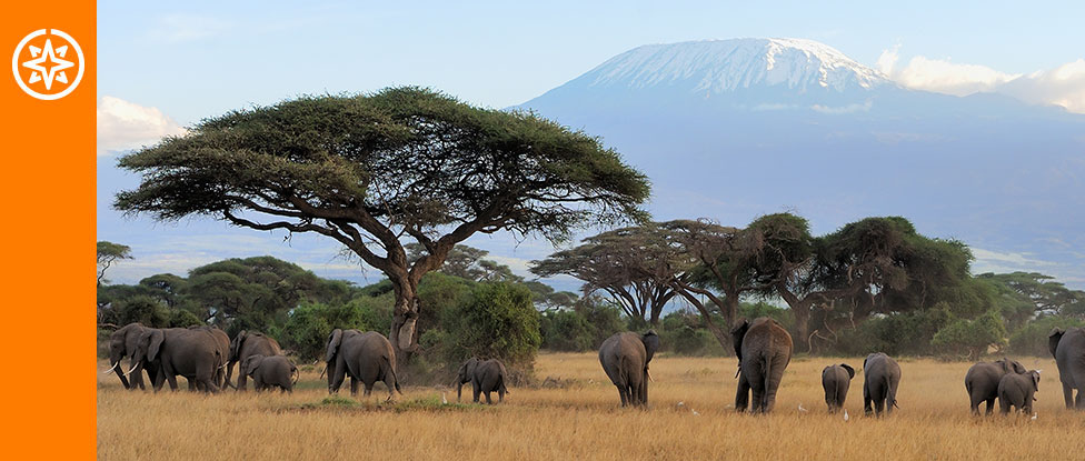 seguro de viaje tanzania