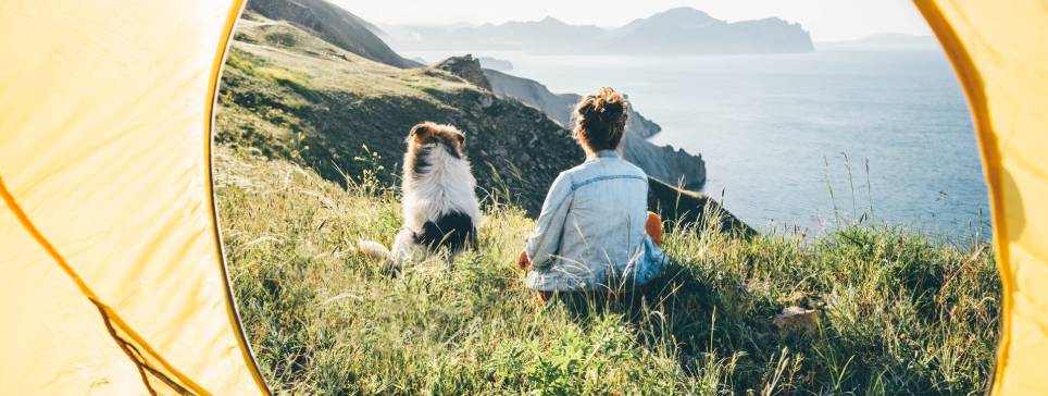 Recomendaciones para viajar con tu mascota al extranjero